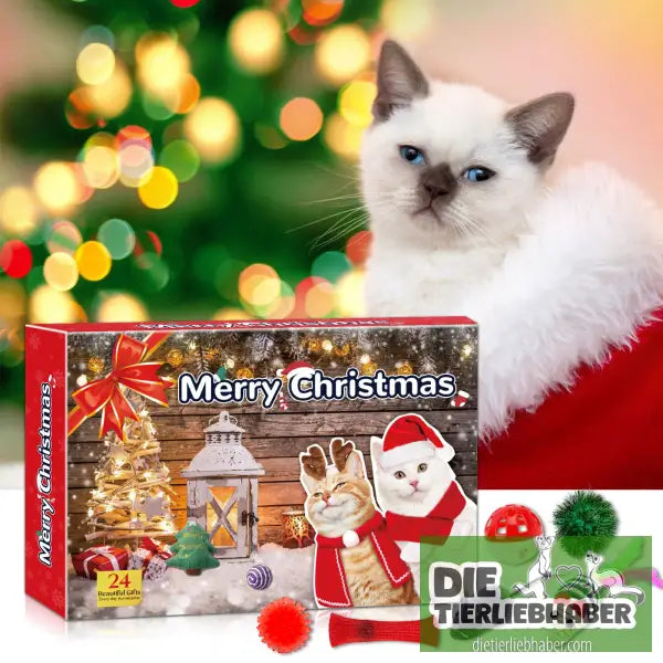 Adventskalender für Katzen - Santa Kitty blind box - Haustierbedarf