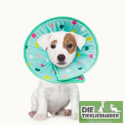 Antileckschutzkragen für Katzen und Hunde - Tierbedarf