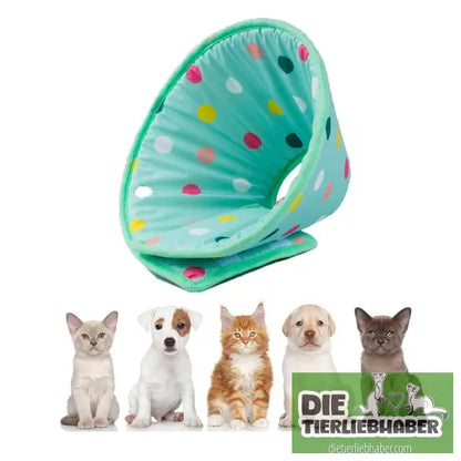 Antileckschutzkragen für Katzen und Hunde - Tierbedarf