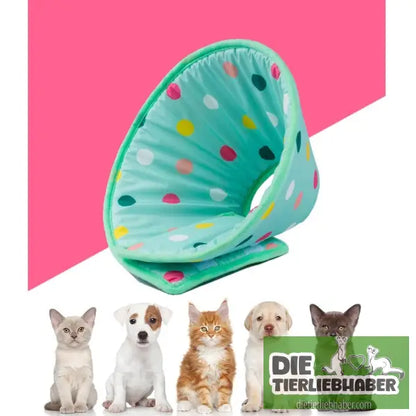 Antileckschutzkragen für Katzen und Hunde - Tierbedarf