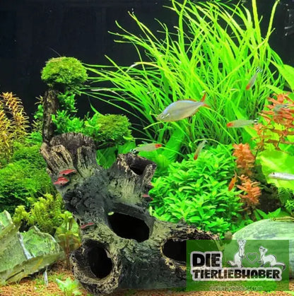 Aquarium Dekoration & Landschaftsgestaltung - Deko