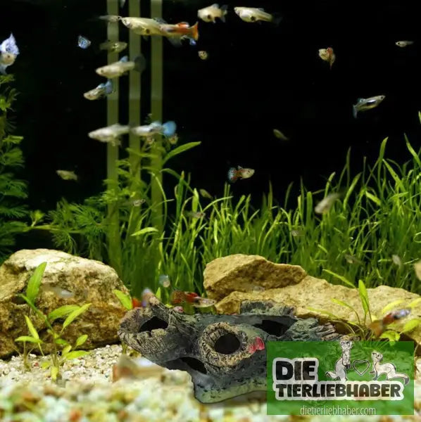 Aquarium Dekoration & Landschaftsgestaltung - Deko