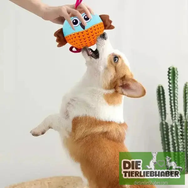 Aufblasbares Hundespielzeug gegen Langeweile - Orange - Spielzeug