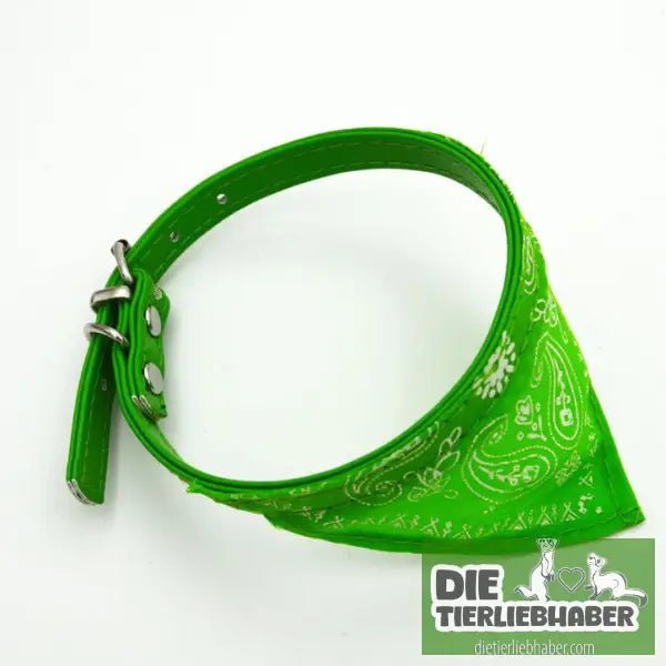 Buntes Dreieckstuch für Haustiere - Green / PU triangle scarf - Halstuch