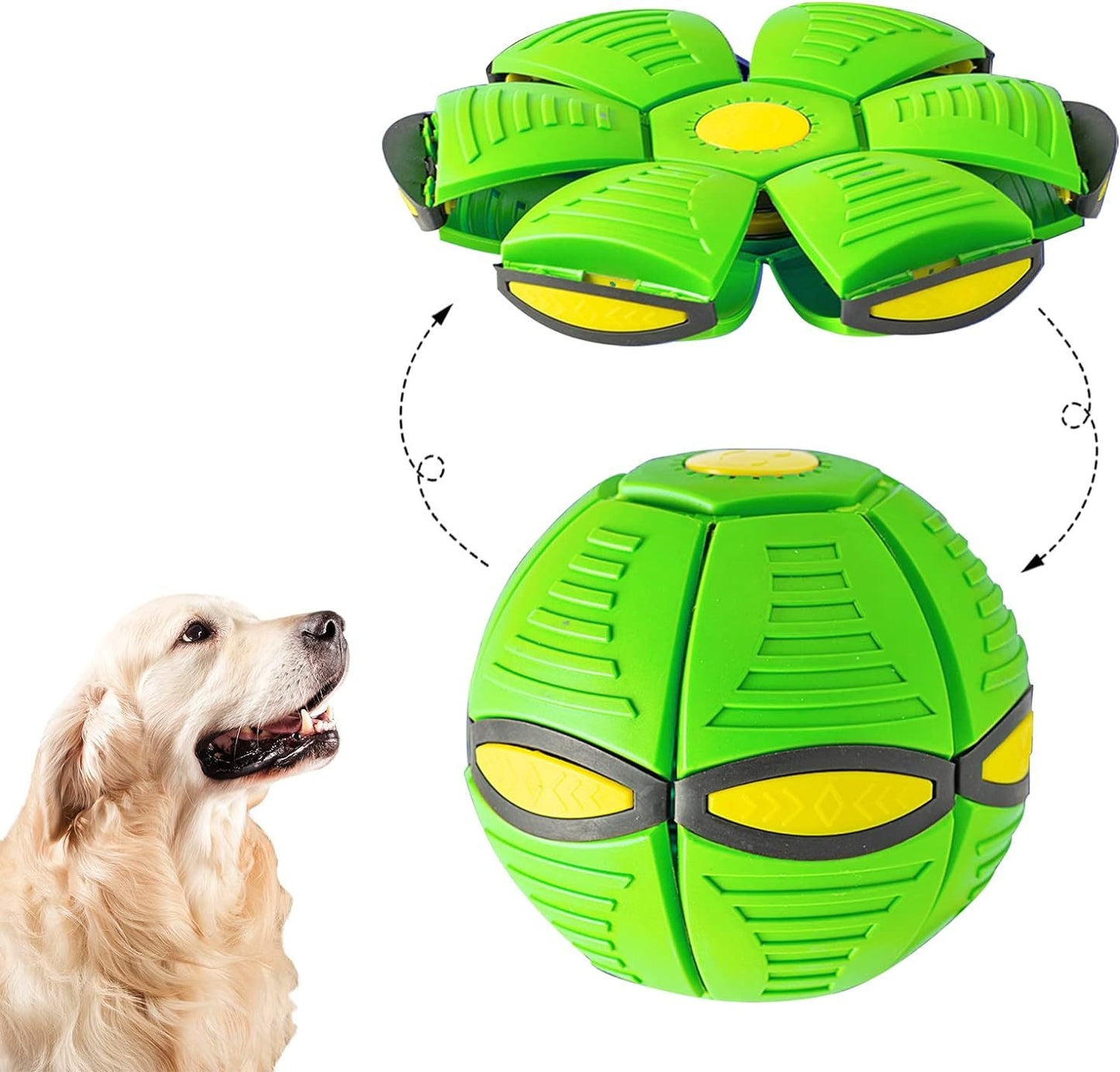 Outdoor Yard Hundespielzeug