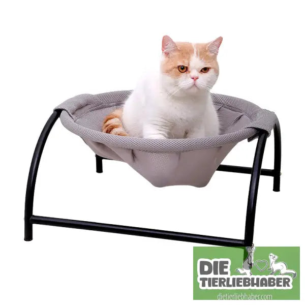 Campingbett für Haustiere - Flauschiger Liegeplatz für Hund Katzen F
