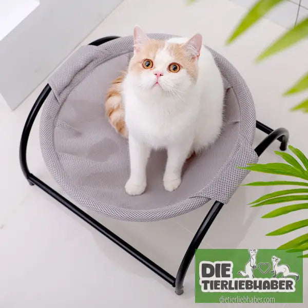 Campingbett für Haustiere - Flauschiger Liegeplatz für Hund Katzen F