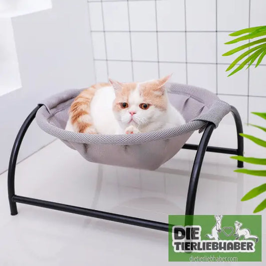 Campingbett für Haustiere - Flauschiger Liegeplatz für Hund Katzen F