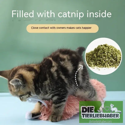 Caterpillar Papier-Katzen-Spielzeug - Spielzeug