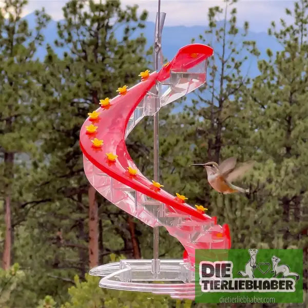 Climbing Ladder Spiral Kolibri-Futterspender - Tierbedarf