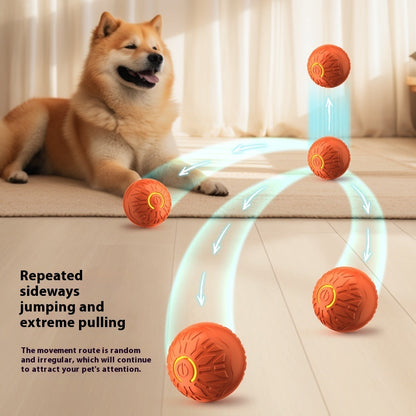 Elektrischer Springball für Haustiere