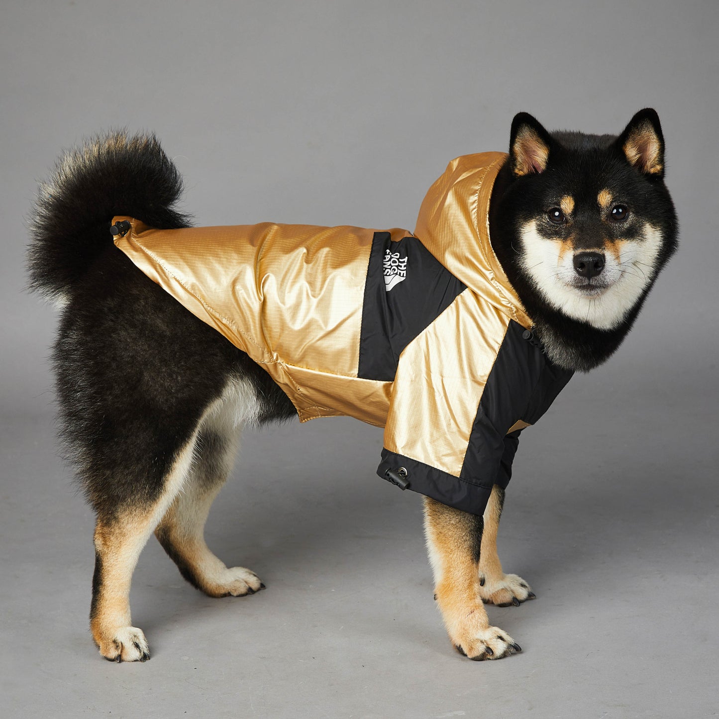 Wind- und regendichte Regenmantel-Shelljacke für große Hunde