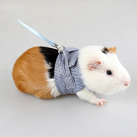 Geschirr für Meerschweinchen