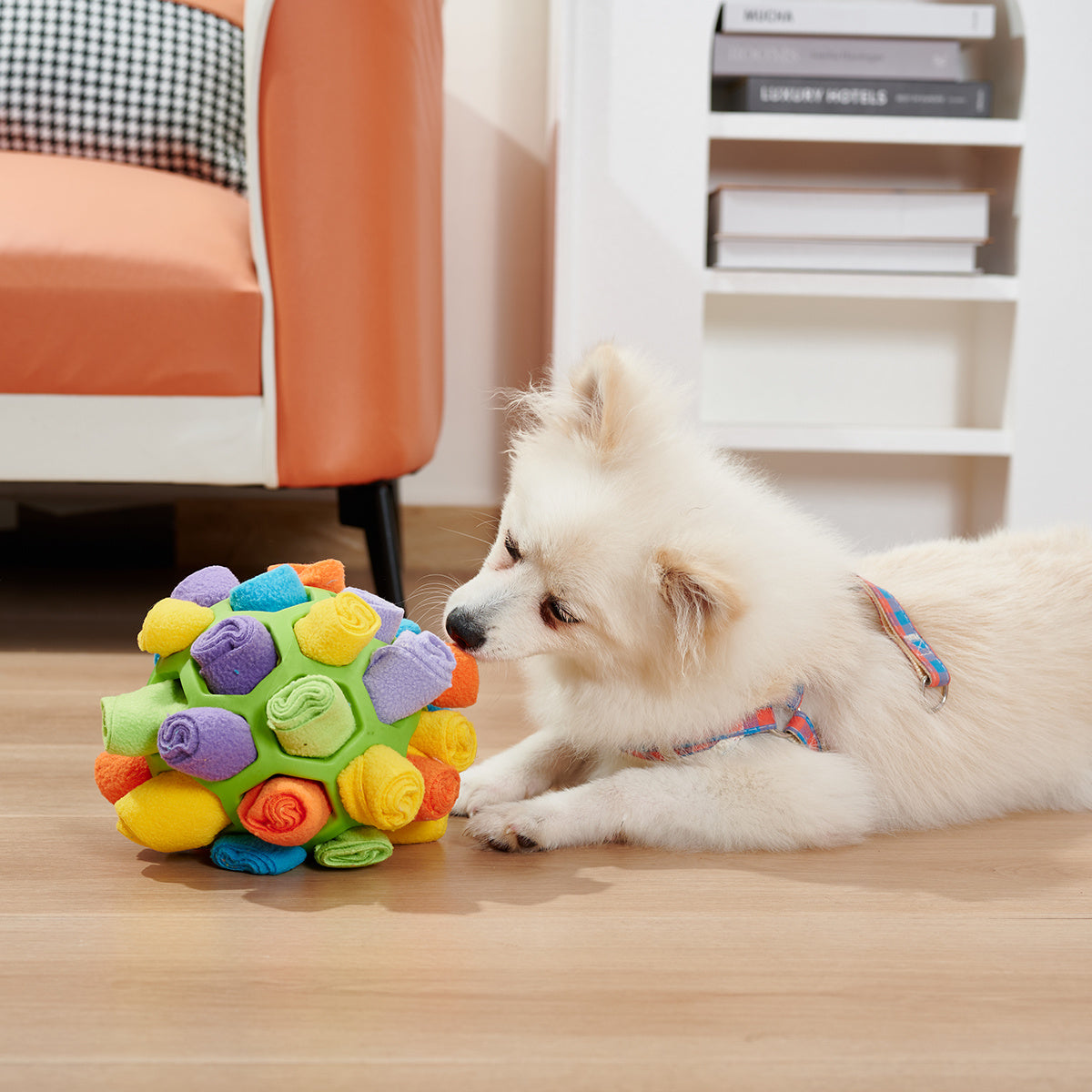 Hundeschnüffelball