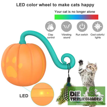 Elektrisch betriebener Leuchtball für Katzen - Spielzeug