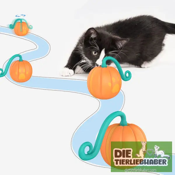 Elektrisch betriebener Leuchtball für Katzen - Spielzeug