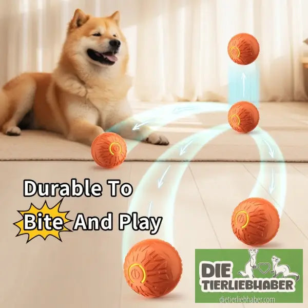 Elektrischer Springball für Haustiere - Spielzeug