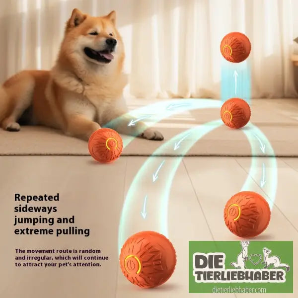 Elektrischer Springball für Haustiere - Spielzeug