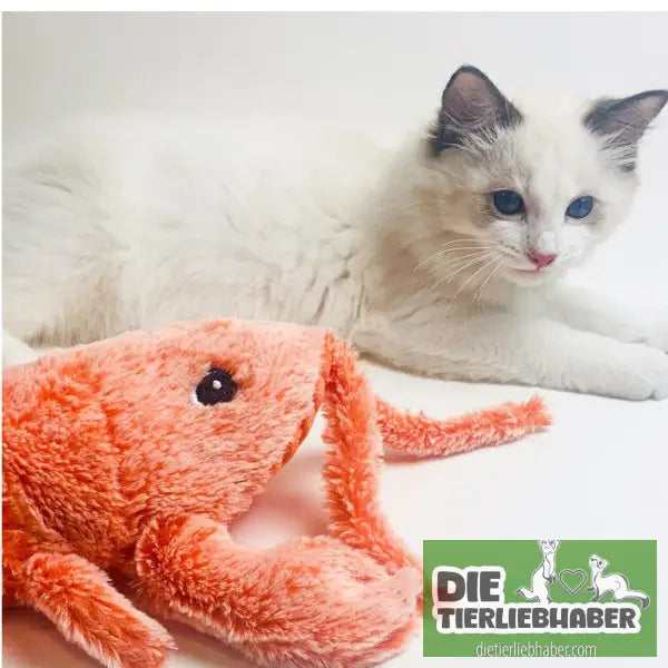 Elektrisches Haustierspielzeug – springende Garnele mit USB-Ladung - Spielzeug