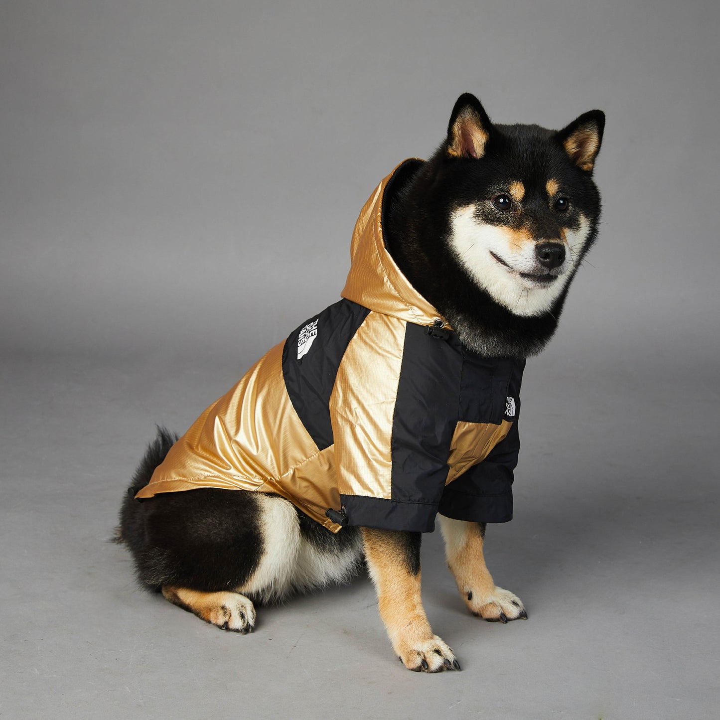 Wind- und regendichte Regenmantel-Shelljacke für große Hunde