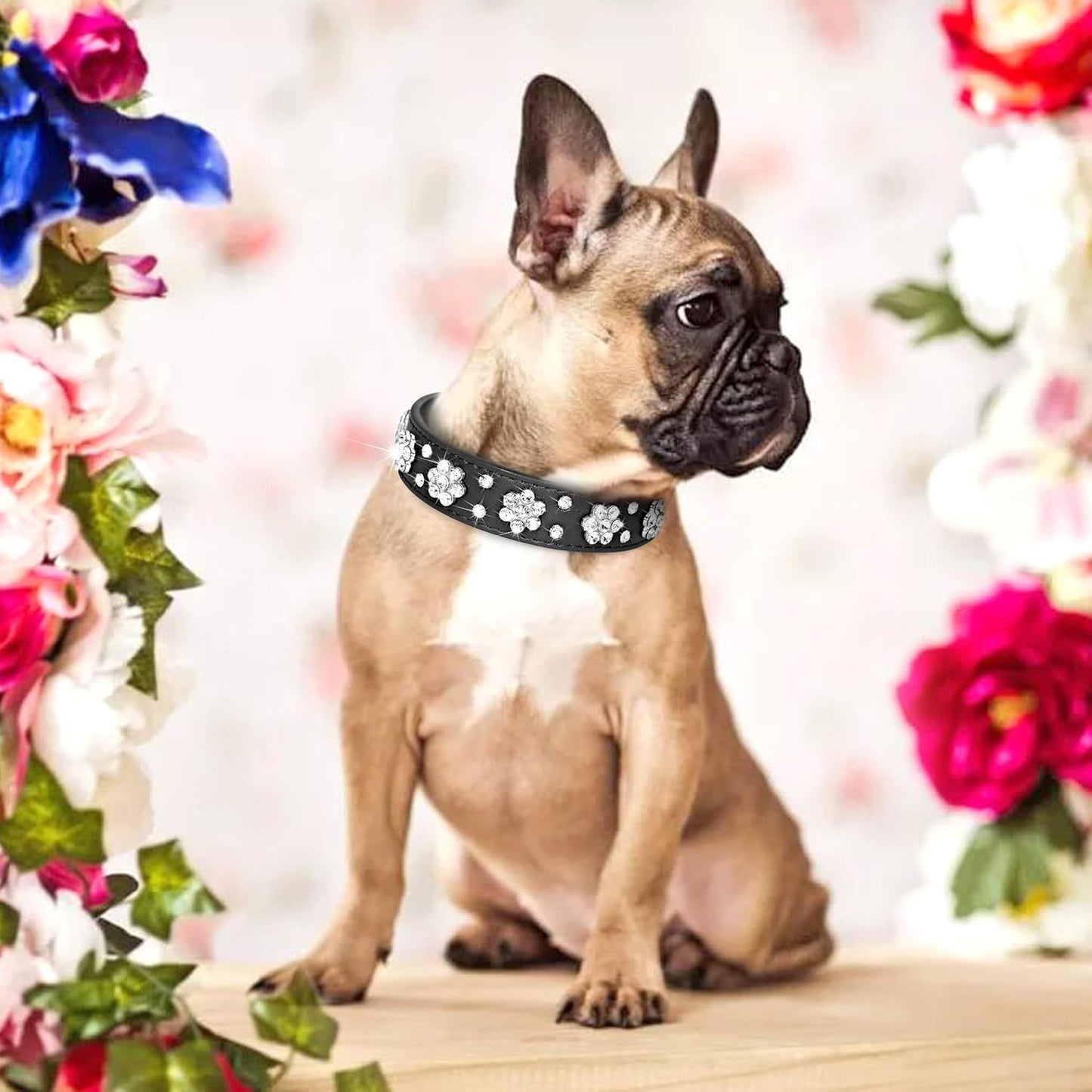 Niedliches Hundehalsband aus PU-Leder mit Strass-Blumenmuster und Nieten, passend für kleine und mittelgroße Hunde