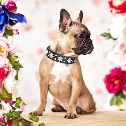 Niedliches Hundehalsband aus PU-Leder mit Strass-Blumenmuster und Nieten, passend für kleine und mittelgroße Hunde