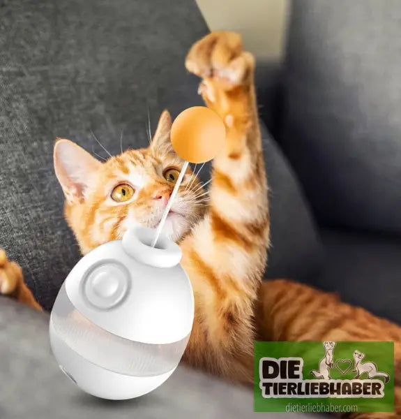 Feather Bell Haustier Katzenspielzeug - Spielzeug