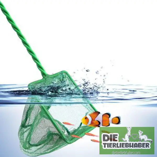 Fischernetz - Aquaristik