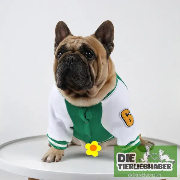 Fleecegefütterte warme Baseball-Shirt-Haustierkleidung - Hundejacke