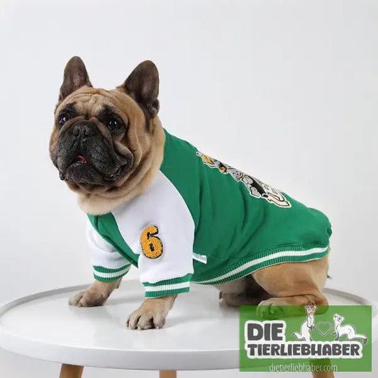 Fleecegefütterte warme Baseball-Shirt-Haustierkleidung - Hundejacke