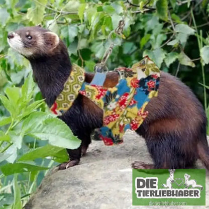 Frettchen Brustgeschirr mit Leine – Multicolor - Geschirr