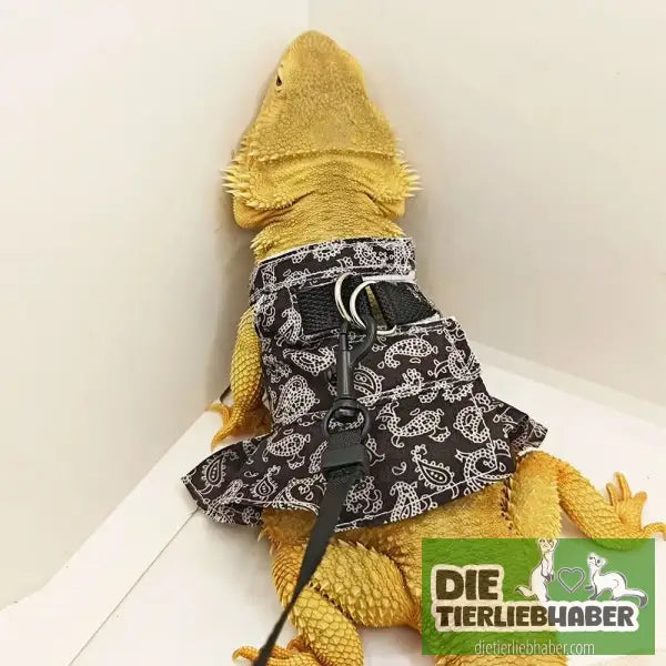 Frettchen Brustgeschirr mit Leine – Multicolor - Geschirr