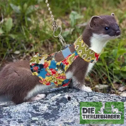 Frettchen Brustgeschirr mit Leine – Multicolor - Geschirr