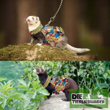 Frettchen Brustgeschirr mit Leine – Multicolor - Geschirr