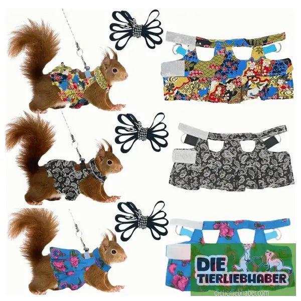 Frettchen Brustgeschirr mit Leine – Multicolor - Geschirr