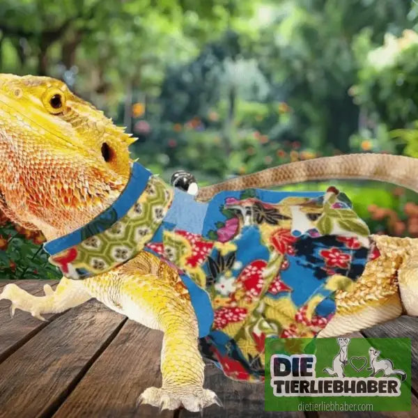 Frettchen Brustgeschirr mit Leine – Multicolor - Geschirr