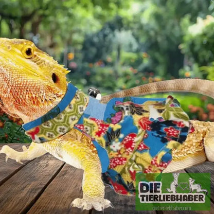 Frettchen Brustgeschirr mit Leine – Multicolor - Geschirr