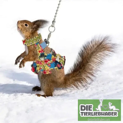 Frettchen Brustgeschirr mit Leine – Multicolor - Geschirr