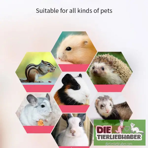 Frettchen-Hängebett und für Kleintiere - Flauschiger Liegeplatz für Hund Katzen F