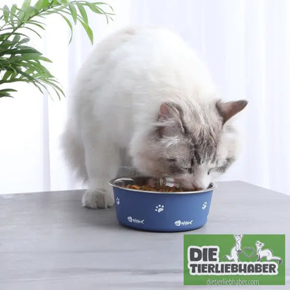 Futter oder Wassernapf - Futter- und Wassernäpfe