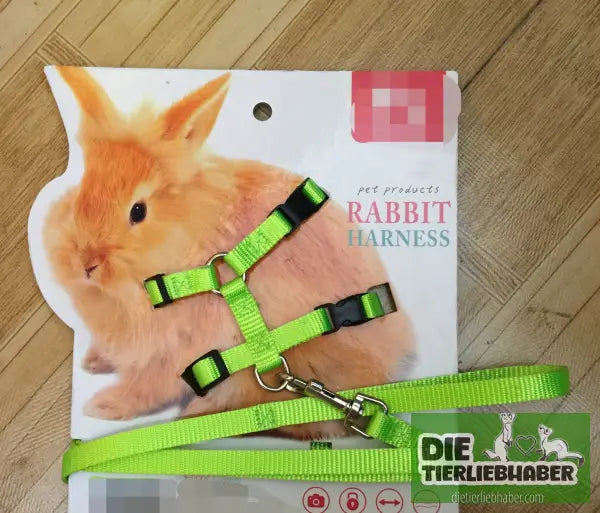 Geschirr für kleine Haustiere - Green / 1 - Tierbedarf