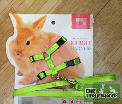 Geschirr für kleine Haustiere - Green / 1 - Tierbedarf