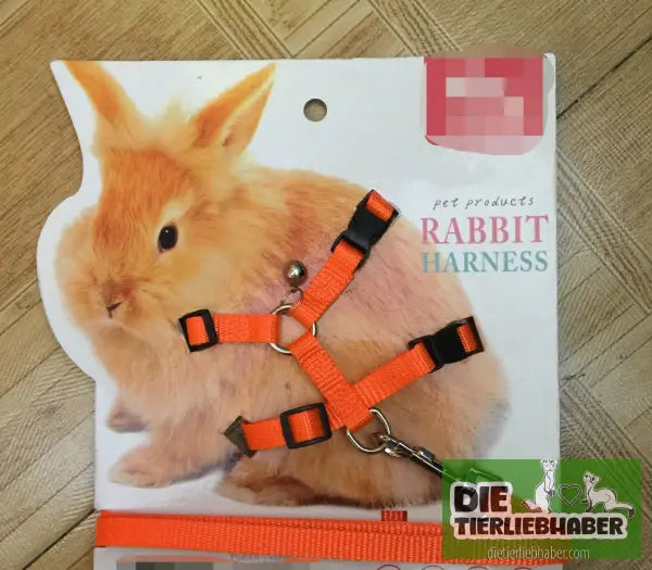 Geschirr für kleine Haustiere - Orange / 1 - Tierbedarf