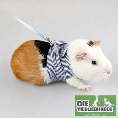 Geschirr für Meerschweinchen - Haustierbedarf