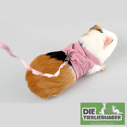 Geschirr für Meerschweinchen - Haustierbedarf