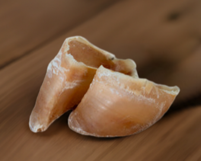 Kalbshufe