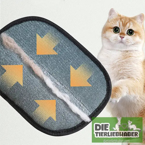 Haarentfernungshandschuh für Kleidung Couch oder Teppiche - Haustier Zubehör