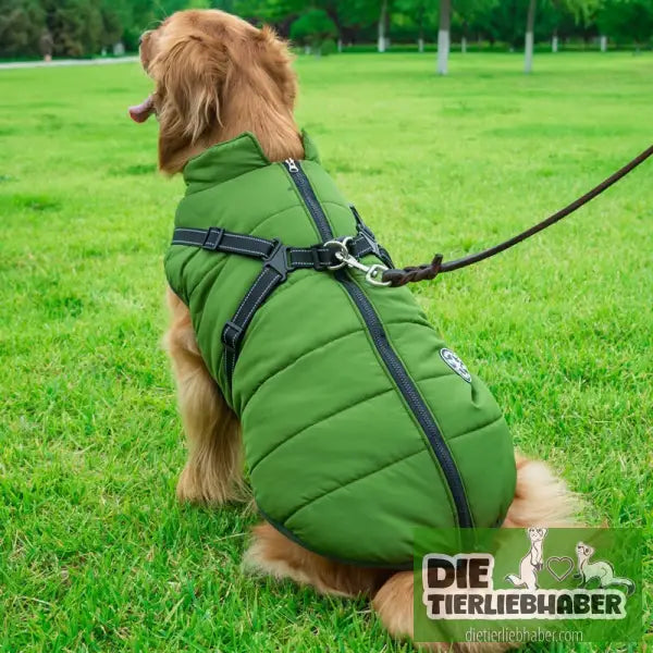Haustier-Baumwollkleidung Winterkleidung - Army Green / 3XL - Hunde und Katzenkleidung