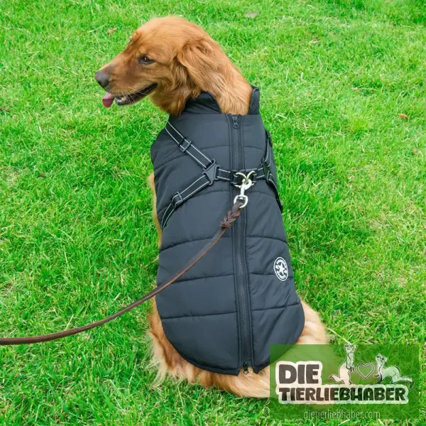 Haustier-Baumwollkleidung Winterkleidung - Black / 3XL - Hunde und Katzenkleidung