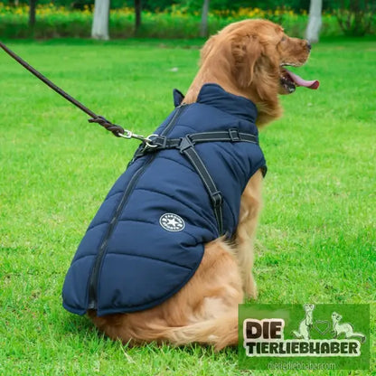 Haustier-Baumwollkleidung Winterkleidung - Hunde und Katzenkleidung